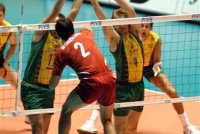 winiarski-spikes.jpg winiarski-spikes.jpg