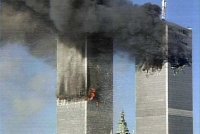 wtc31.jpg