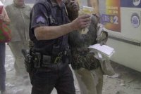 wtc33.jpg