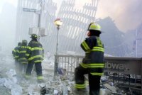 wtc50.jpg
