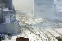 wtc60.jpg