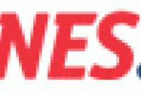 idnes_logo.gif