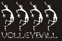 volleydance.jpg