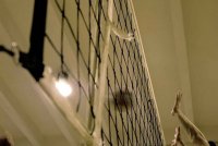Dsc_0354.jpg Dsc_0354.jpg